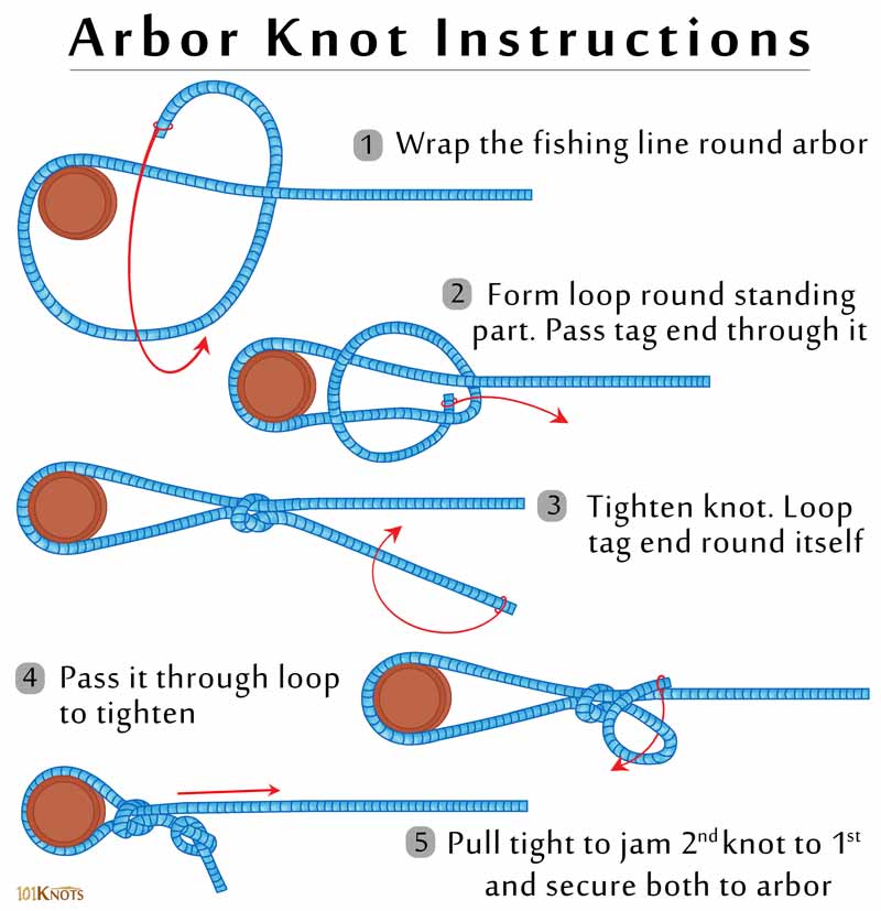 ArborKnot